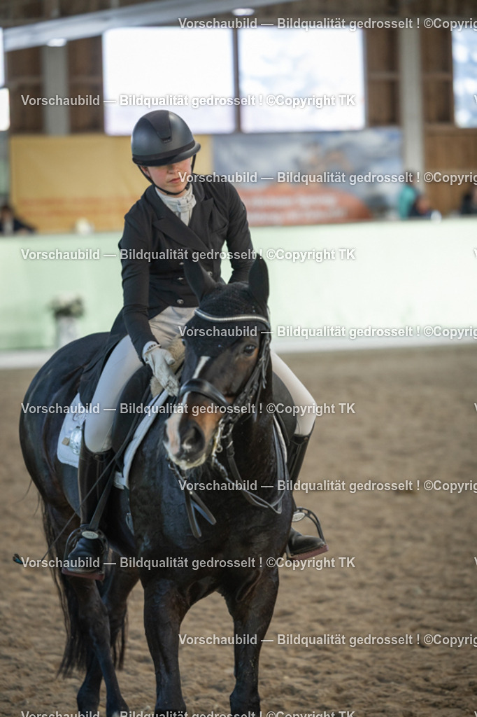 _D5A0671 | Emotionale Pferde- & People-Fotografie rund um Heidelberg, Leimen & Umgebung. Natürliche Fotos von Pferd, Mensch & Familie. Jetzt Termin sichern!