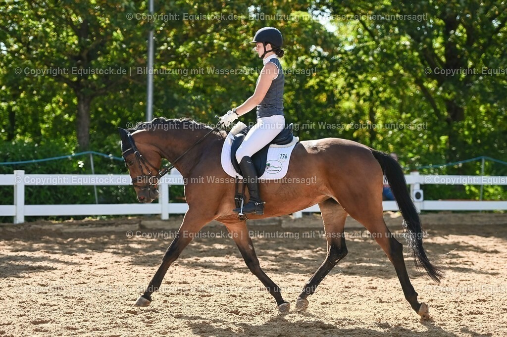 20230715_06_Dressurpferdeprfg. Kl.A_0399 | equistock