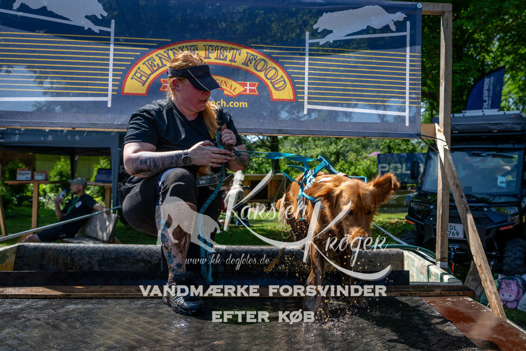 1241_ZZ91694 | kk-dogfotos