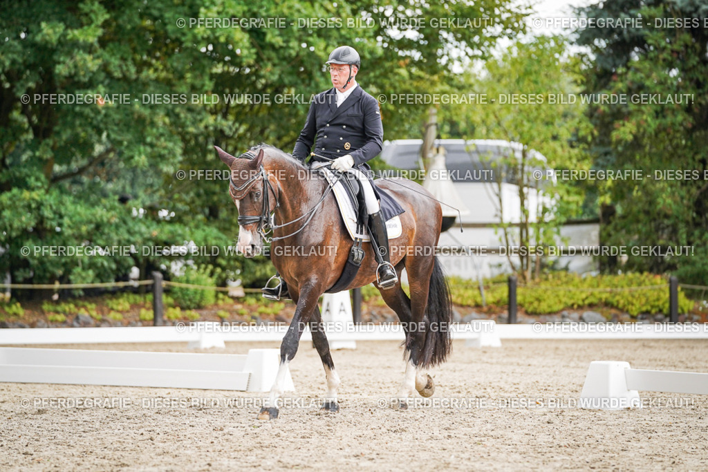 DSC06983 | Pferdegrafie