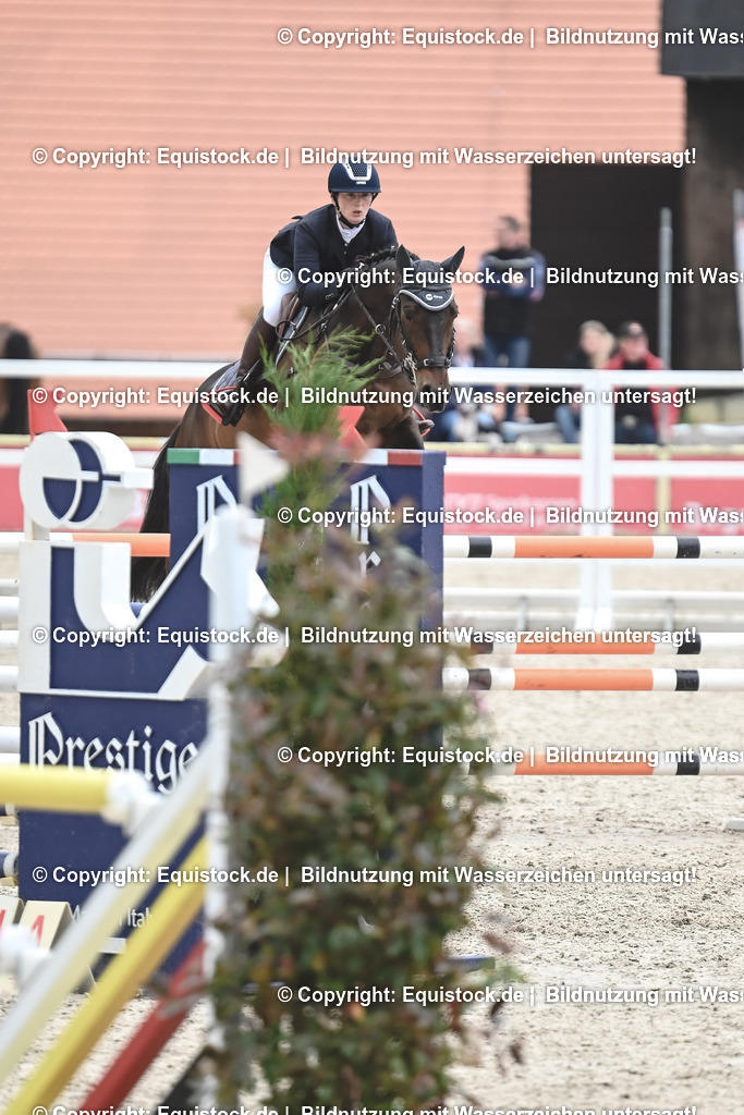 20230514_CCI4_Springen_0253 | equistock