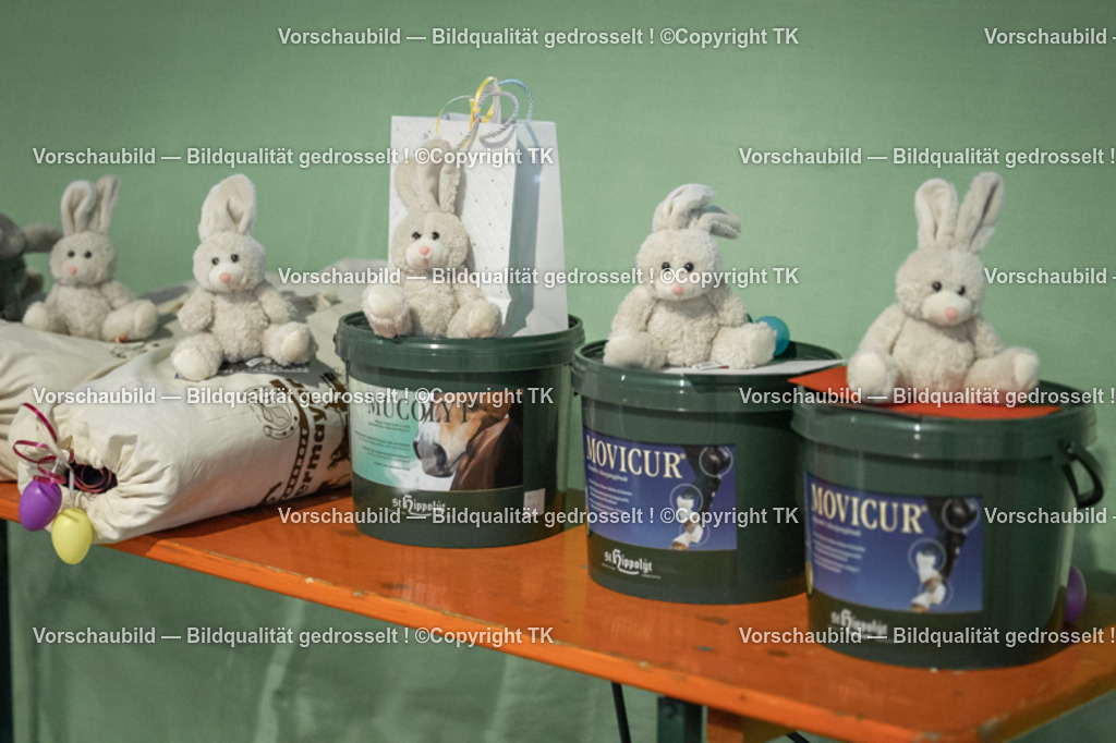 _D5A3738 | Emotionale Pferde- & People-Fotografie rund um Heidelberg, Leimen & Umgebung. Natürliche Fotos von Pferd, Mensch & Familie. Jetzt Termin sichern!
