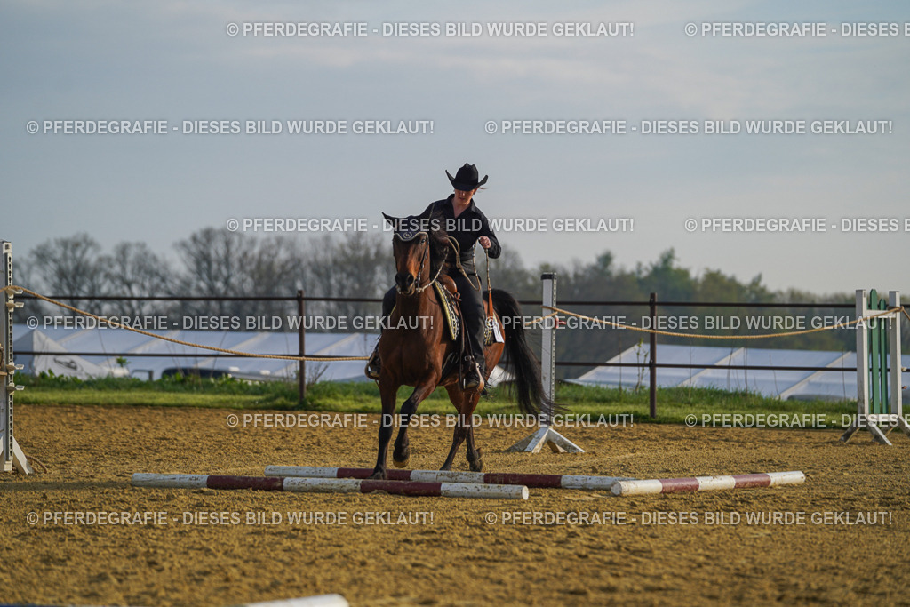 DSC00447 | Pferdegrafie