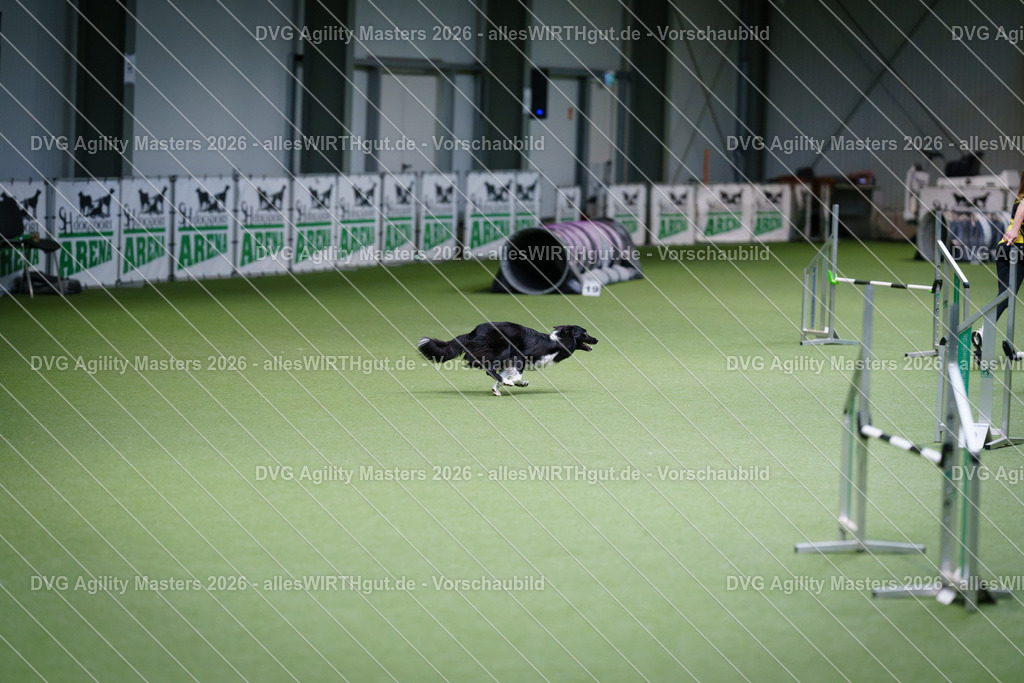 allesWIRTHgut_Tierfotografie-DVG_Agility_Masters_2026-10_06-7R509936 | Professionelle Tierfotografie in Mönchengladbach von Daniel Wirth (allesWIRTHgut). Liebevolle & natürliche Bilder von Hunden & Katzen für unvergessliche Erinnerungen.