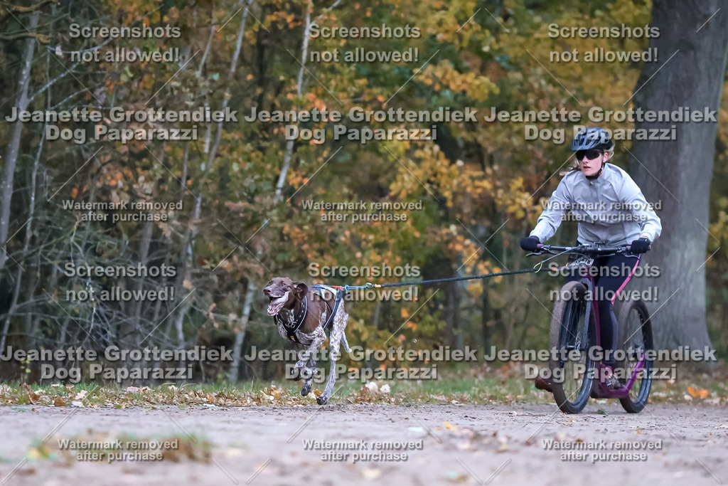 Dog Paparazzi - SD CaniX Championship 2025-29 | Dog Paparazzi Jeanette Grottendiek Fotografie & Videografie - Realisiert mit Pictrs.com