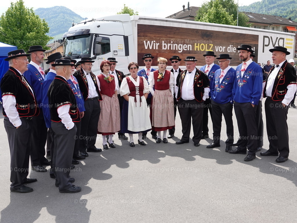 DSC06786 | Schwingen - Realisiert mit Pictrs.com