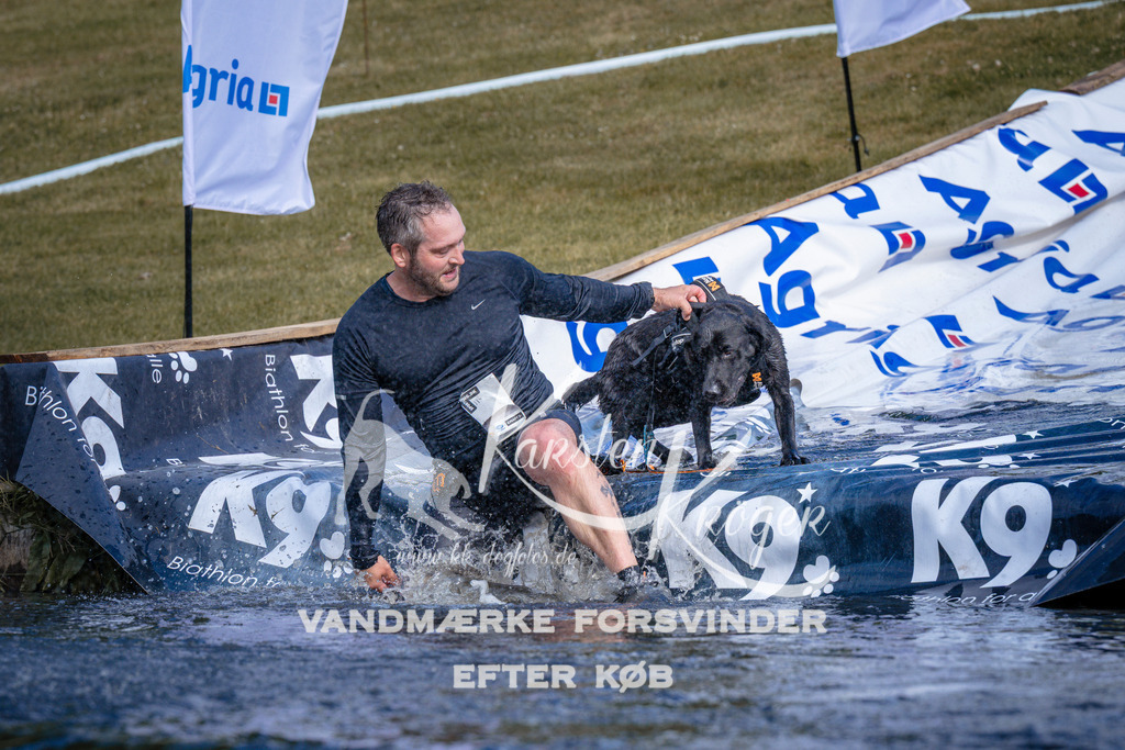 _ZZ986150805 | kk-dogfotos