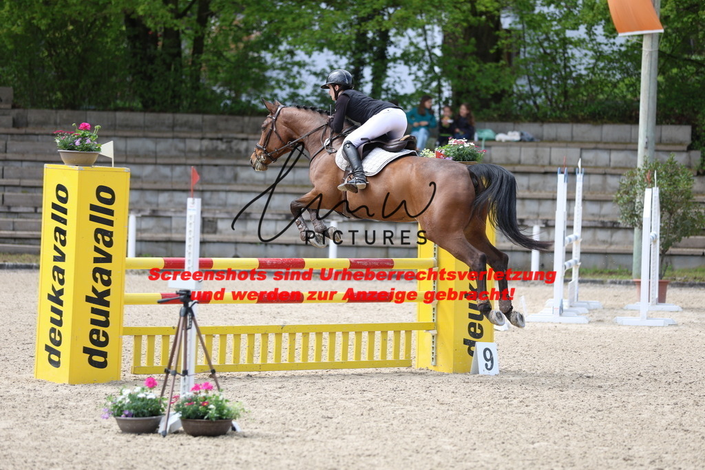 A40A2170 | lmwpictures - Realisiert mit Pictrs.com