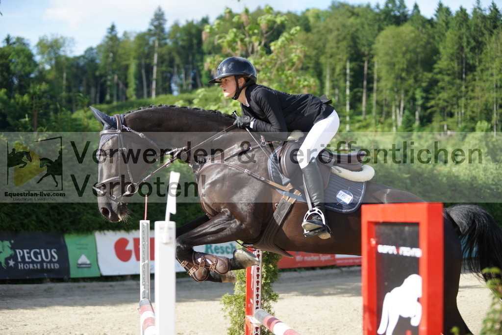 DSC08519 | equestrian-live-com