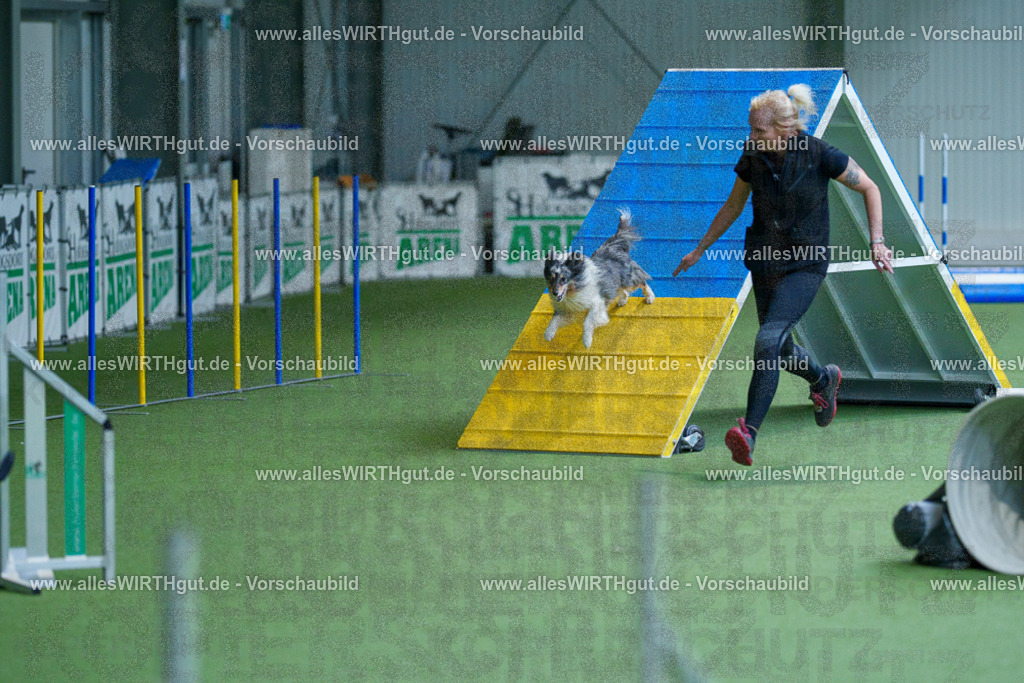 @allesWIRTHgut_Tierfotografie - www.allesWIRTHgut.de - 2604261458-7R504178 | Professionelle Tierfotografie in Mönchengladbach von Daniel Wirth (allesWIRTHgut). Liebevolle & natürliche Bilder von Hunden & Katzen für unvergessliche Erinnerungen.