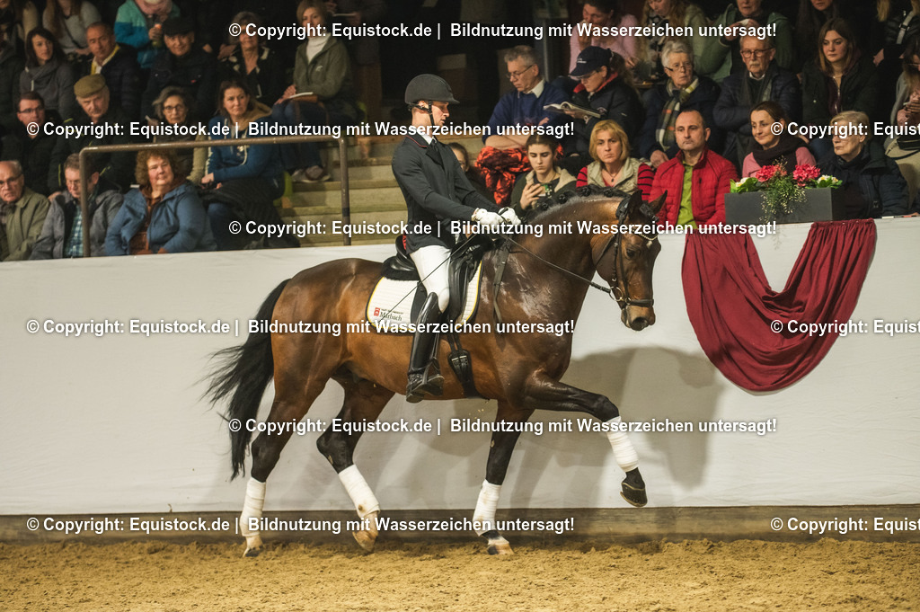 20240302_Hengstvorstellung_Marbach_TOMsPiC_1202-2 | equistock