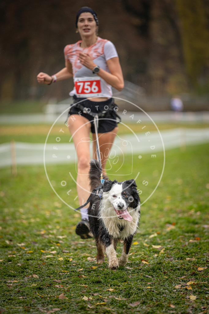 CaniXpix_DV3A9383 | Hundefotografie, Tierfotograf, Pfotenfotografie, Fotoshooting Hund, Hunde Portrait, Hundesport, Hundeportraits, Heideshooting, Hunde, Sportfotograf, Hundefotograf, Turnierhundsport, THS,  - Realisiert mit Pictrs.com