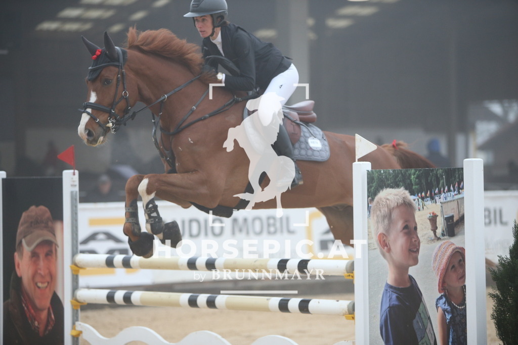 PP012406 | Willkommen bei Brunnmayr - Design & Fotografie – Ihrem Spezialisten für Reitturniere und Pferdeveranstaltungen in Oberösterreich, Salzburg und Bayern! Seit über 17 Jahren sind wir leidenschaftlich dabei.