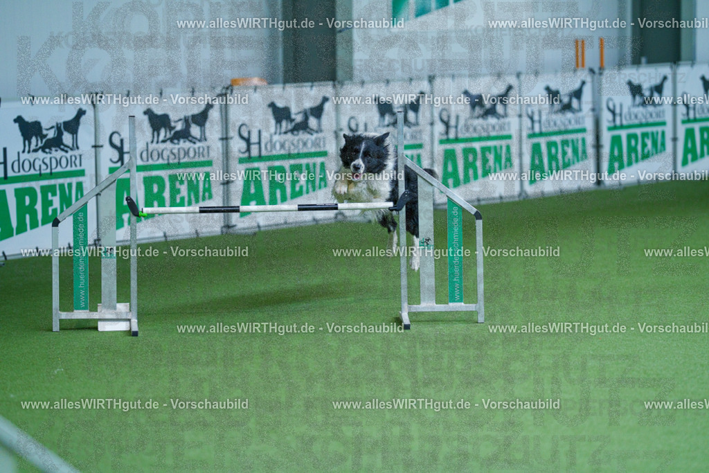 @allesWIRTHgut_Tierfotografie - www.allesWIRTHgut.de - 2604261408-7R503514 | Professionelle Tierfotografie in Mönchengladbach von Daniel Wirth (allesWIRTHgut). Liebevolle & natürliche Bilder von Hunden & Katzen für unvergessliche Erinnerungen.