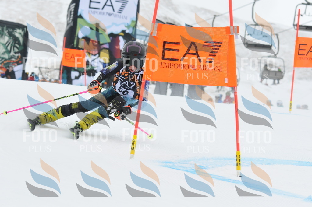 DSC_8830 | holidayphoto