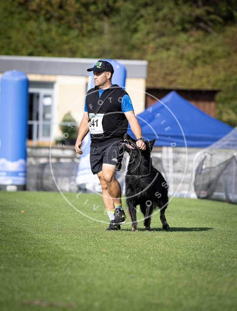 Pfotenfotografie_DV3A4910 | Hundefotografie, Tierfotograf, Pfotenfotografie, Fotoshooting Hund, Hunde Portrait, Hundesport, Hundeportraits, Heideshooting, Hunde, Sportfotograf, Hundefotograf, Turnierhundsport, THS,  - Realisiert mit Pictrs.com