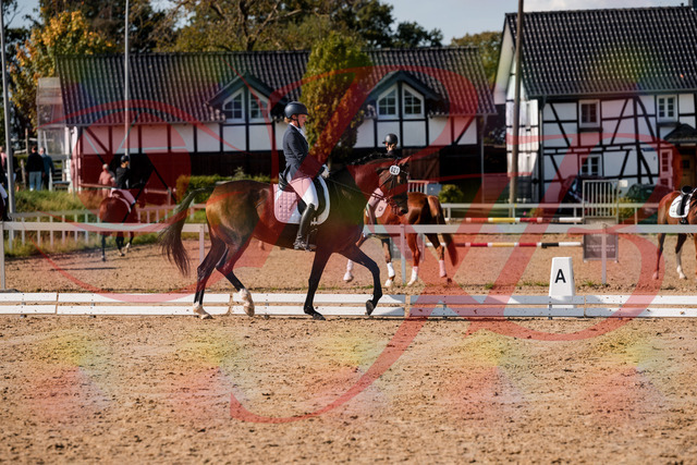2026_10_03_Siefer-Hof_125529_Z63_61808380 | Professionelle Reitsport-, Turnier- und Eventfotografie von Robert Broda. Galerien mit ausgewählten und bearbeiteten Bildern direkt online ansehen und bestellen.