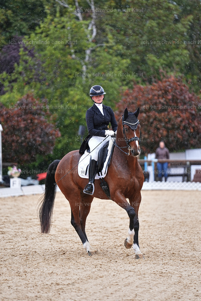 07-048-DRESSUR  S___  -Marixx-5111 | working equitationturnier fotograf videograf stoibphotography marixx film working equitation deutschland reitsport turnierfotografie eventfotografie equestrian events