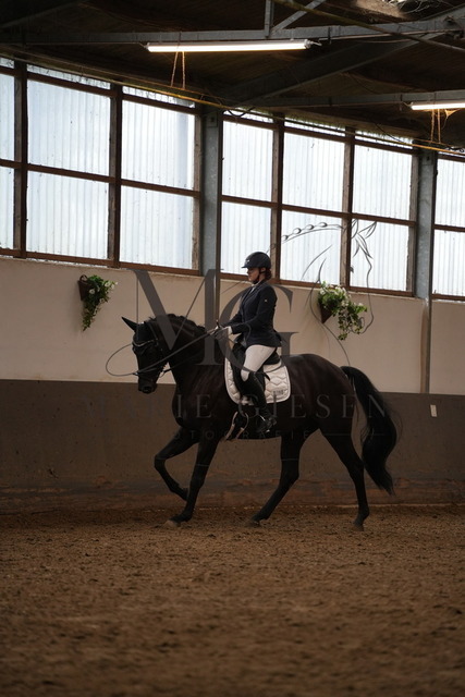 DSC06942 | Pferdefotografie in Köln und Umgebung – emotionale Pferdeshootings, Turnierfotografie und besondere Momente zwischen Pferd und Mensch. - Realisiert mit Pictrs.com