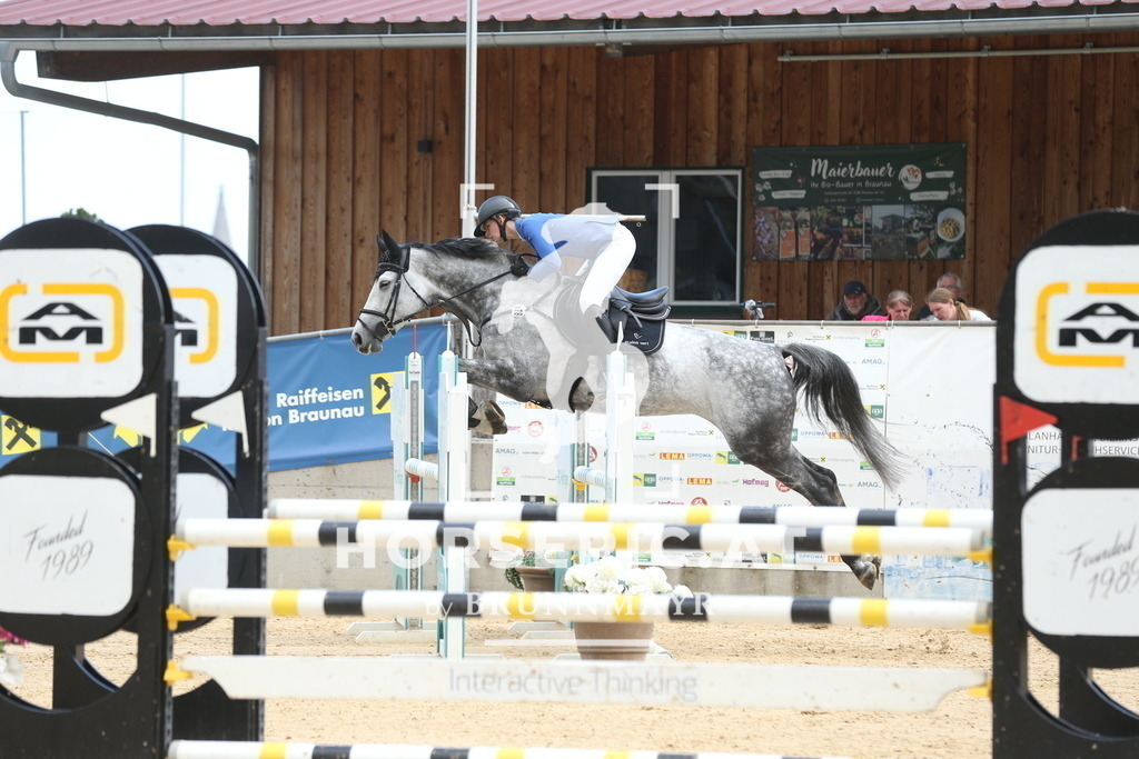 DL2Q1472 | Willkommen bei Brunnmayr - Design & Fotografie – Ihrem Spezialisten für Reitturniere und Pferdeveranstaltungen in Oberösterreich, Salzburg und Bayern! Seit über 17 Jahren sind wir leidenschaftlich dabei.
