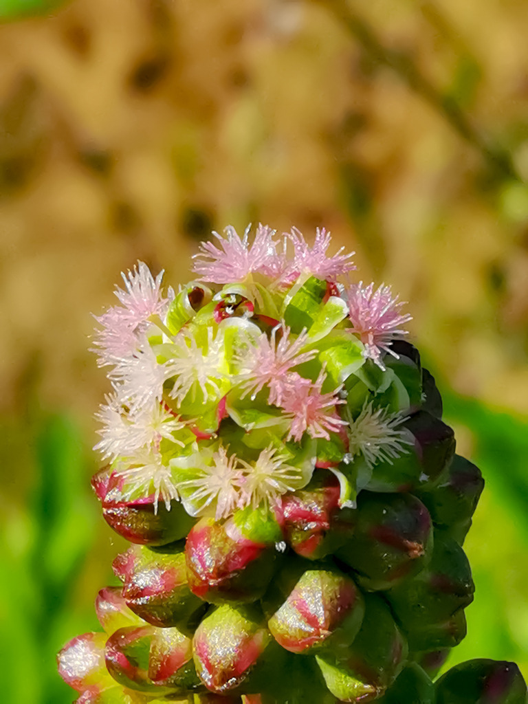 PSX_20230527_225148 | mtkfoto_ - Realisiert mit Pictrs.com