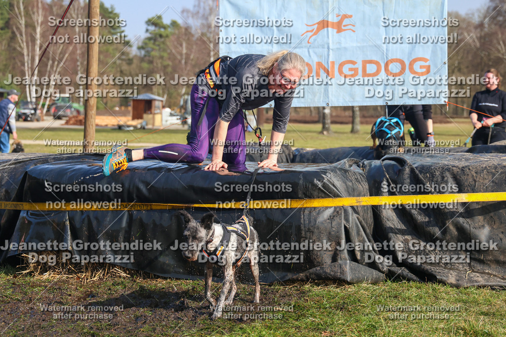 Dog Paparazzi - Strongdog North Mrz26-2875 | Dog Paparazzi Jeanette Grottendiek Fotografie & Videografie - Realisiert mit Pictrs.com