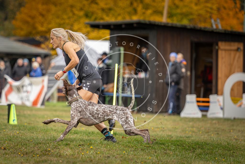 Pfotenfotografie_DV3A3348 | Hundefotografie, Tierfotograf, Pfotenfotografie, Fotoshooting Hund, Hunde Portrait, Hundesport, Hundeportraits, Heideshooting, Hunde, Sportfotograf, Hundefotograf, Turnierhundsport, THS,  - Realisiert mit Pictrs.com