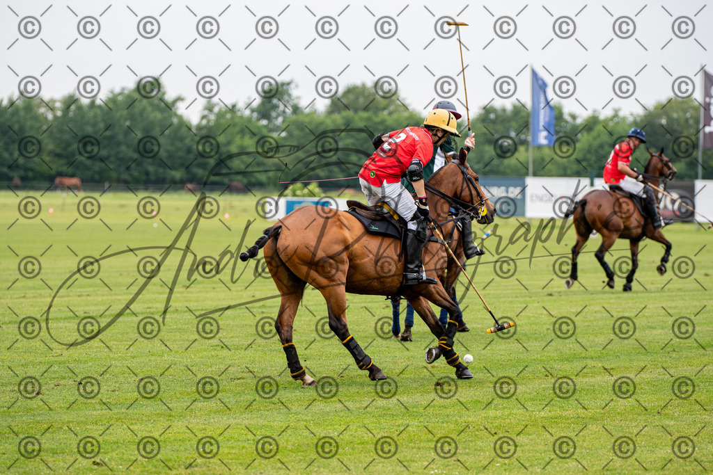 POL_2809 | andre_photographic