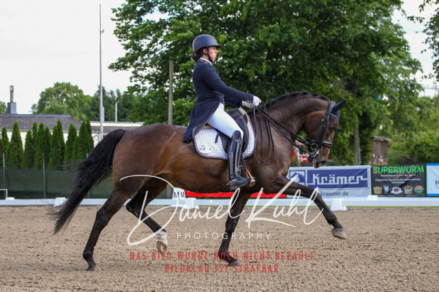 DKP41360 | Deine Turnierfotos vom Reitturnier online kaufen: Dressur, Springen & Siegerehrung. Professionelle Pferdefotografie aus dem Rheinland – als Download & Print.Alternative: Turnierfotograf für den Pferdesport: Finde deine Fotos von Dressur- und Springturnier