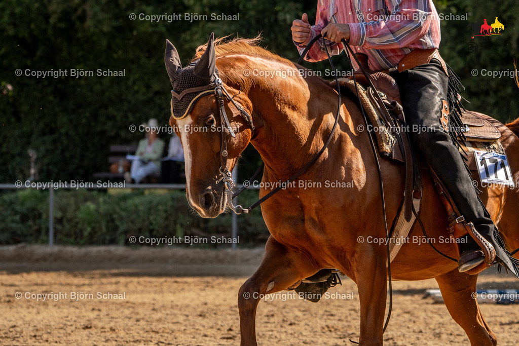 LMS04938 | BS-foto