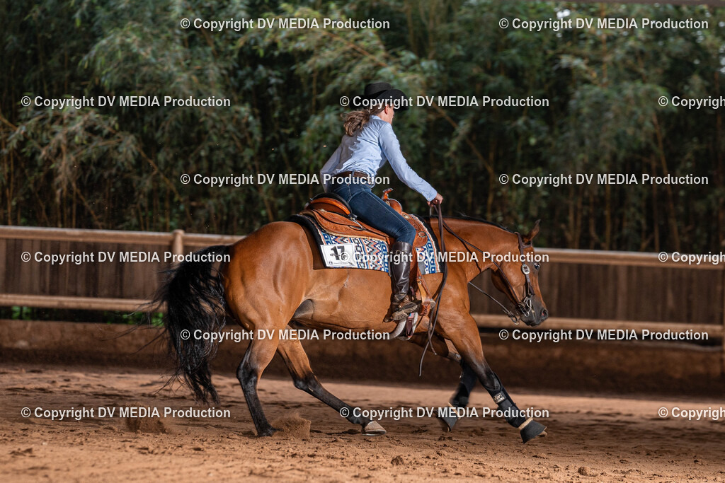 Erbach Tag 2-1159 | dv-media-shop - Realisiert mit Pictrs.com