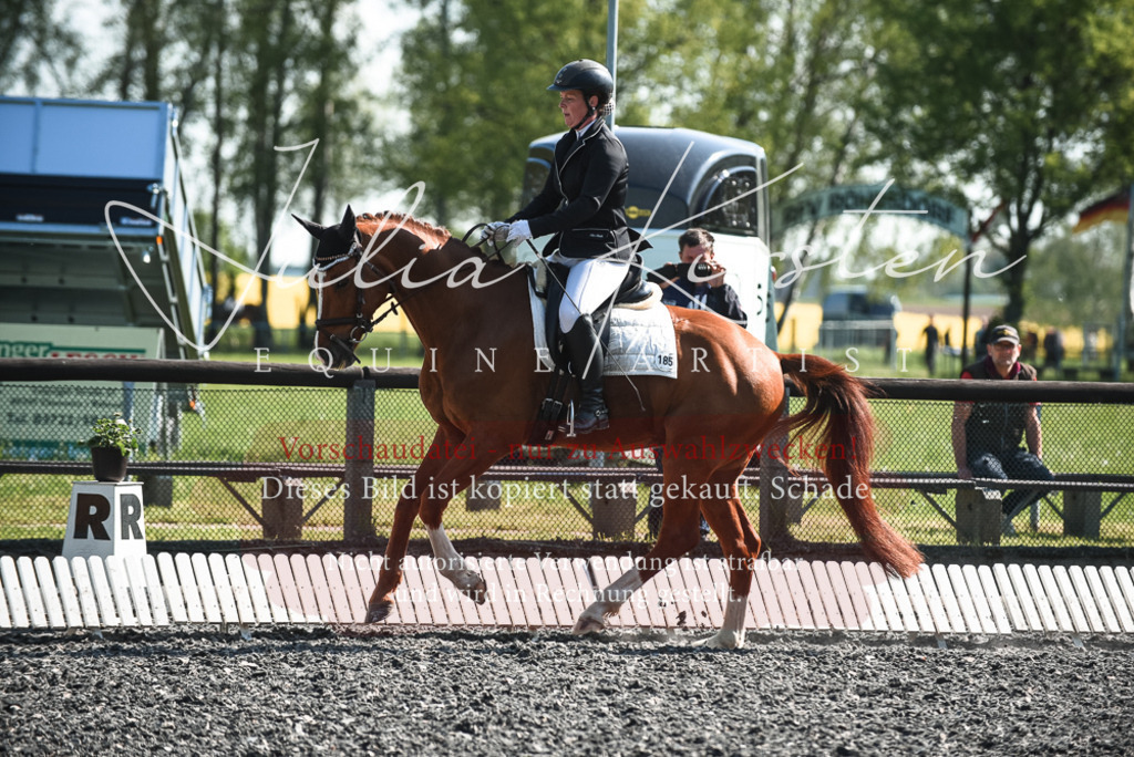 DSC_8745 | Pferde- und Turnierfotografie in Westsachsen. Pferdeportraits, Auftragszeichnungen und intuitive Kunst.