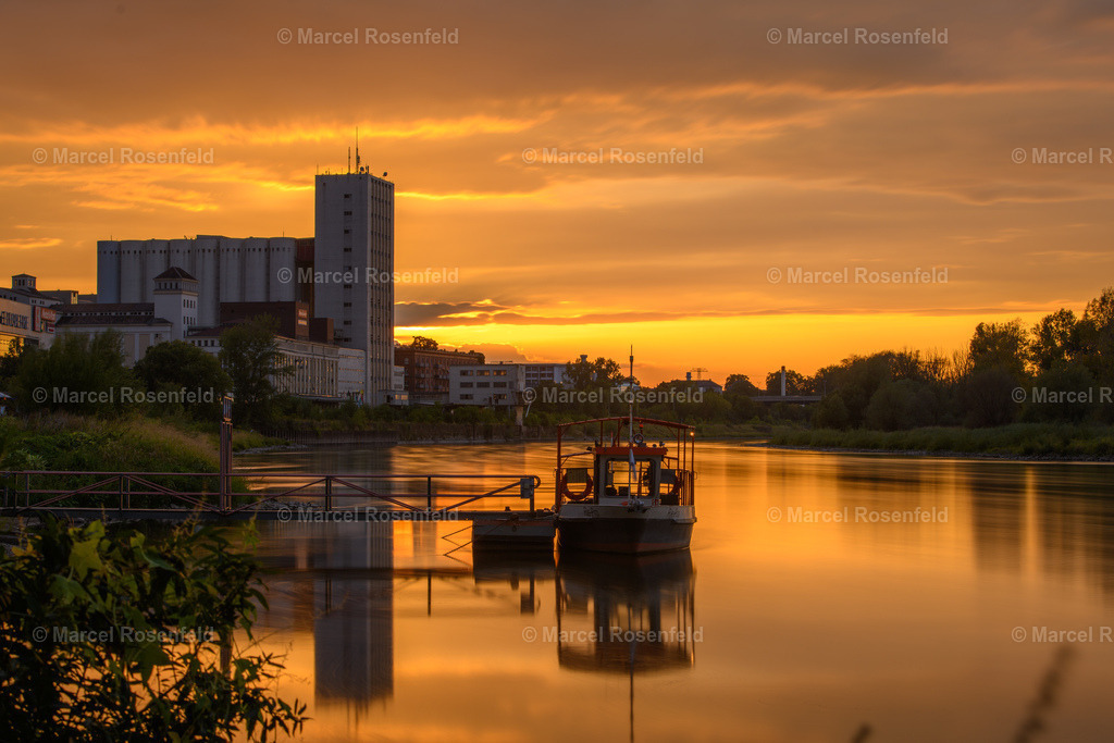 _DSC1295 | foto-rosenfeld