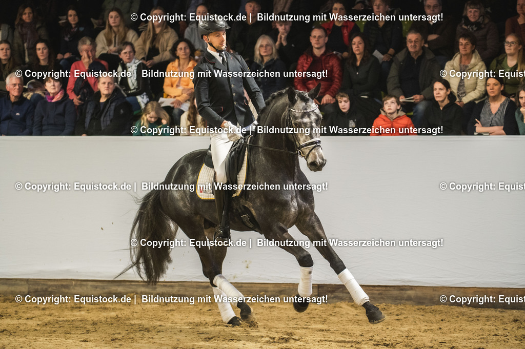 20240302_Hengstvorstellung_Marbach_TOMsPiC_0193-2 | equistock