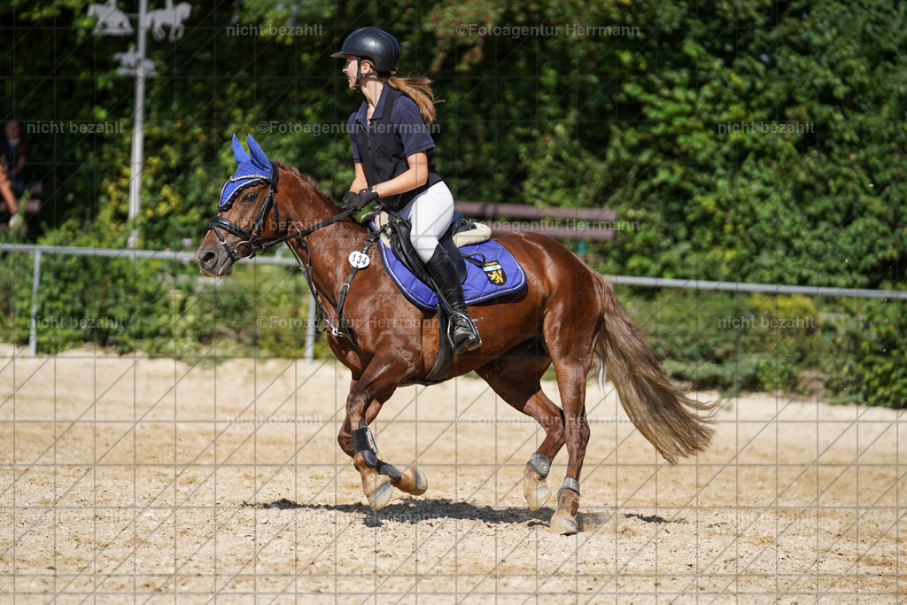 20240824-FAH08423 | Thierhaupten 2024, Bayerisches Landesponyturnier, Turnierbilder, Ponybilder, Turnierfotografen Bayern, Fotoagentur Herrmann