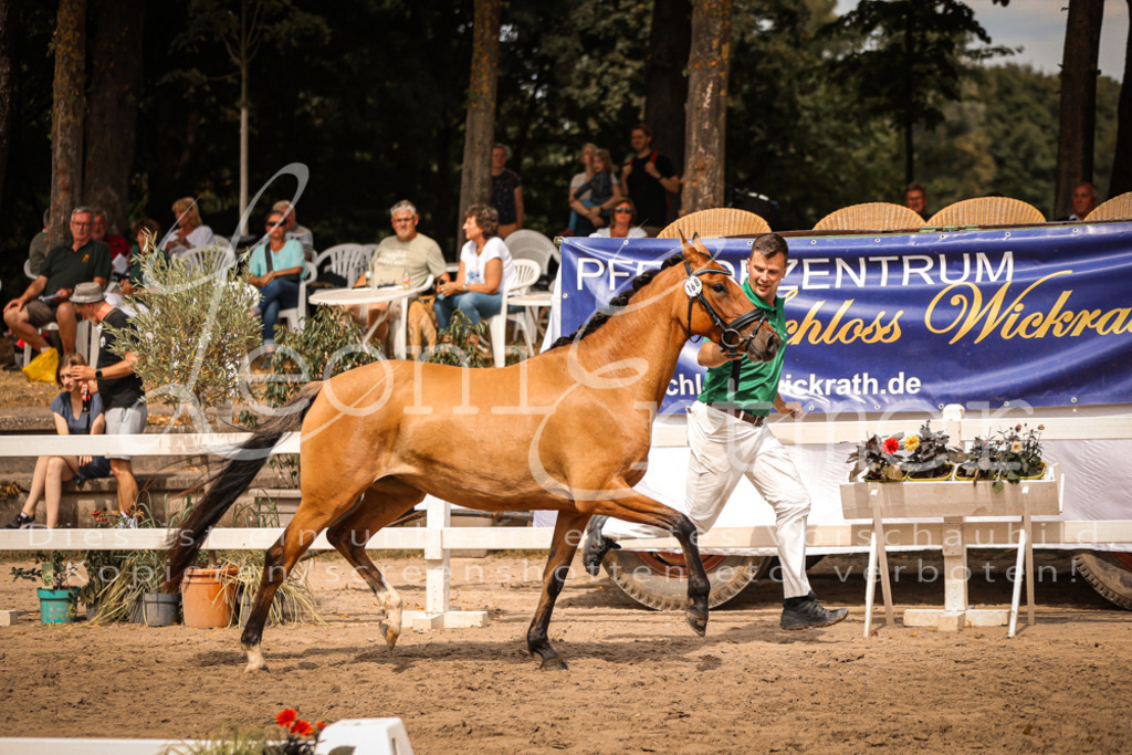 11.So00053 | Leoni Ertmer Photography - Realisiert mit Pictrs.com