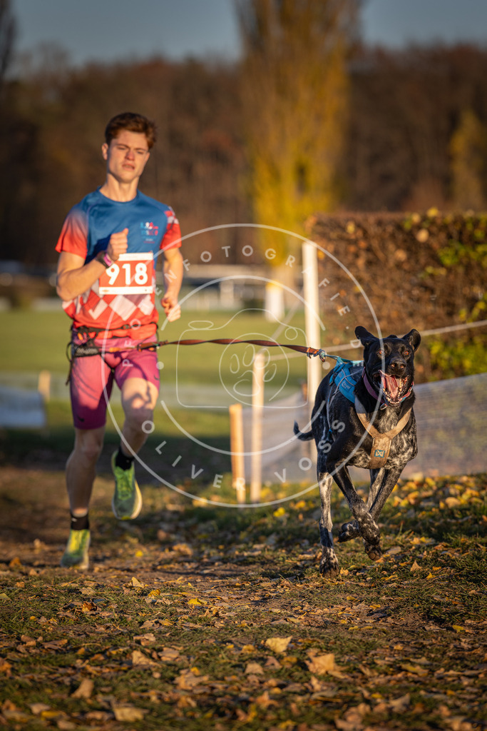 CaniXpix_DV3A4894 | Hundefotografie, Tierfotograf, Pfotenfotografie, Fotoshooting Hund, Hunde Portrait, Hundesport, Hundeportraits, Heideshooting, Hunde, Sportfotograf, Hundefotograf, Turnierhundsport, THS,  - Realisiert mit Pictrs.com