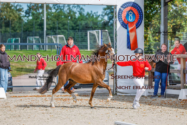 GK (342 von 759) | mandyhollmannphotographie