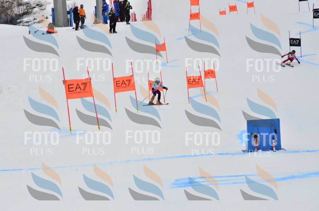 _ELE3668 | holidayphoto