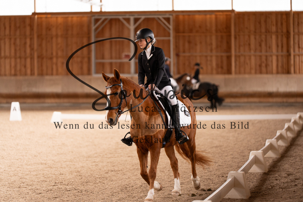 A7506948 | Turnier/Reitfotograf