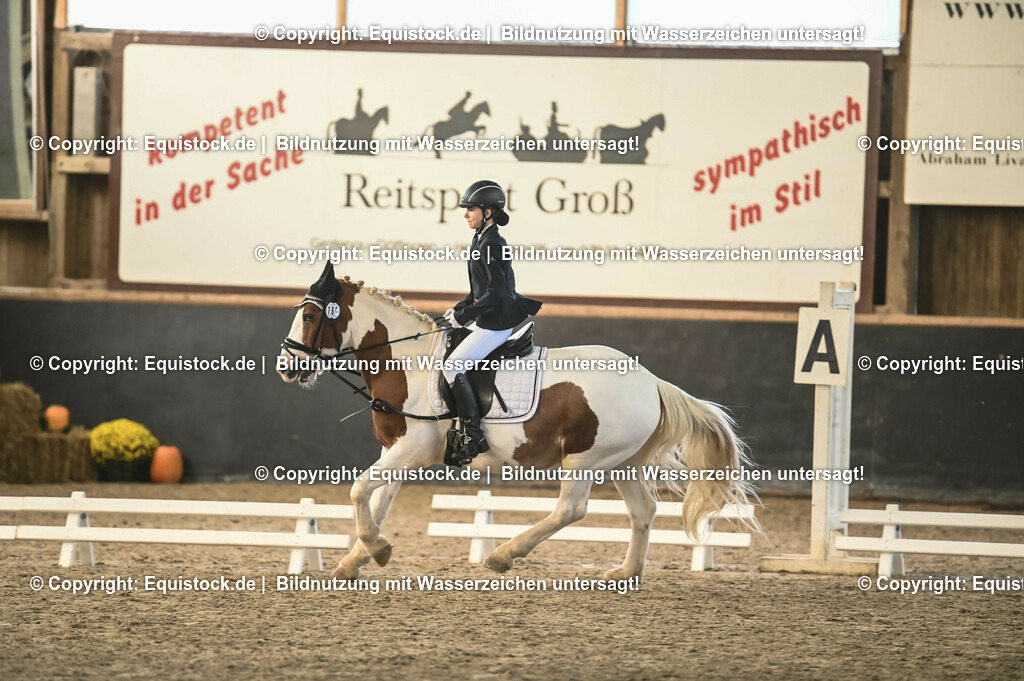 03_Reiter-WB_0219 | Foto: Thomas Hartig