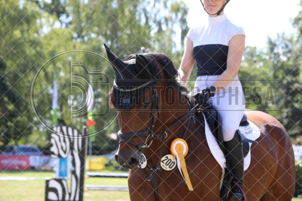 IMG_4382 | photographesa-joergens - Realisiert mit Pictrs.com