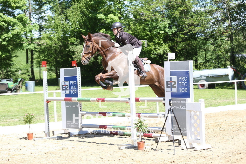 DL2Q1708 | Willkommen bei Brunnmayr - Design & Fotografie – Ihrem Spezialisten für Reitturniere und Pferdeveranstaltungen in Oberösterreich, Salzburg und Bayern! Seit über 17 Jahren sind wir leidenschaftlich dabei.