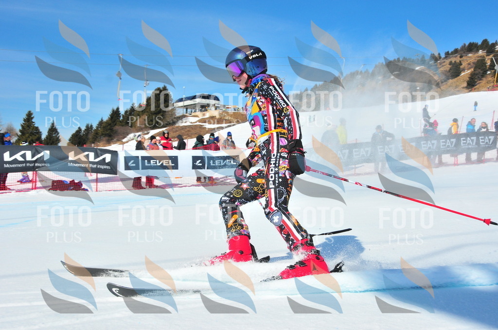 DSC_4327 | holidayphoto