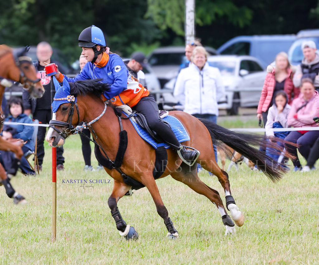 1B3A0968 | Reitsport Reiten