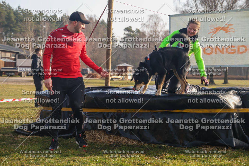 Dog Paparazzi - SD North 0326 900930-255 | Dog Paparazzi Jeanette Grottendiek Fotografie & Videografie - Realisiert mit Pictrs.com