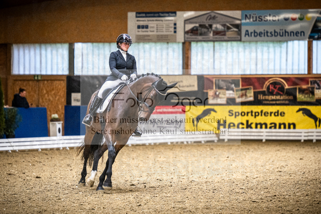 DOS_0036 | Entdecke hochwertige Reitturnierfotos von Foto Oger. Professionell, emotional und authentisch – jetzt Lieblingsmomente im Shop bestellen.Deutschlandweite Turnierfotografie. - Realisiert mit Pictrs.com