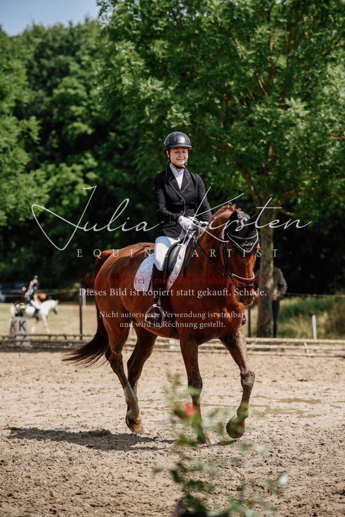 DSC_1381 | Pferde- und Turnierfotografie in Westsachsen. Pferdeportraits, Auftragszeichnungen und intuitive Kunst.