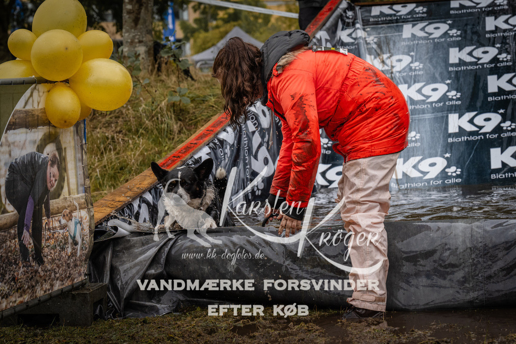 1212_ZZ94708 | kk-dogfotos