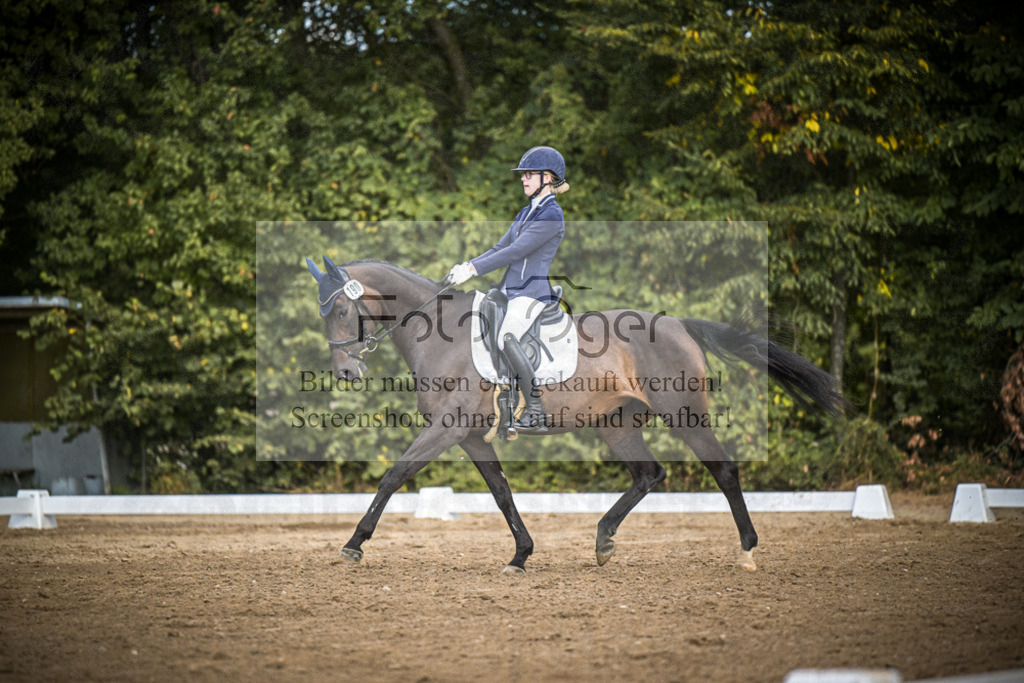 DOS_4507 | Entdecke hochwertige Reitturnierfotos von Foto Oger. Professionell, emotional und authentisch – jetzt Lieblingsmomente im Shop bestellen.Deutschlandweite Turnierfotografie. - Realisiert mit Pictrs.com